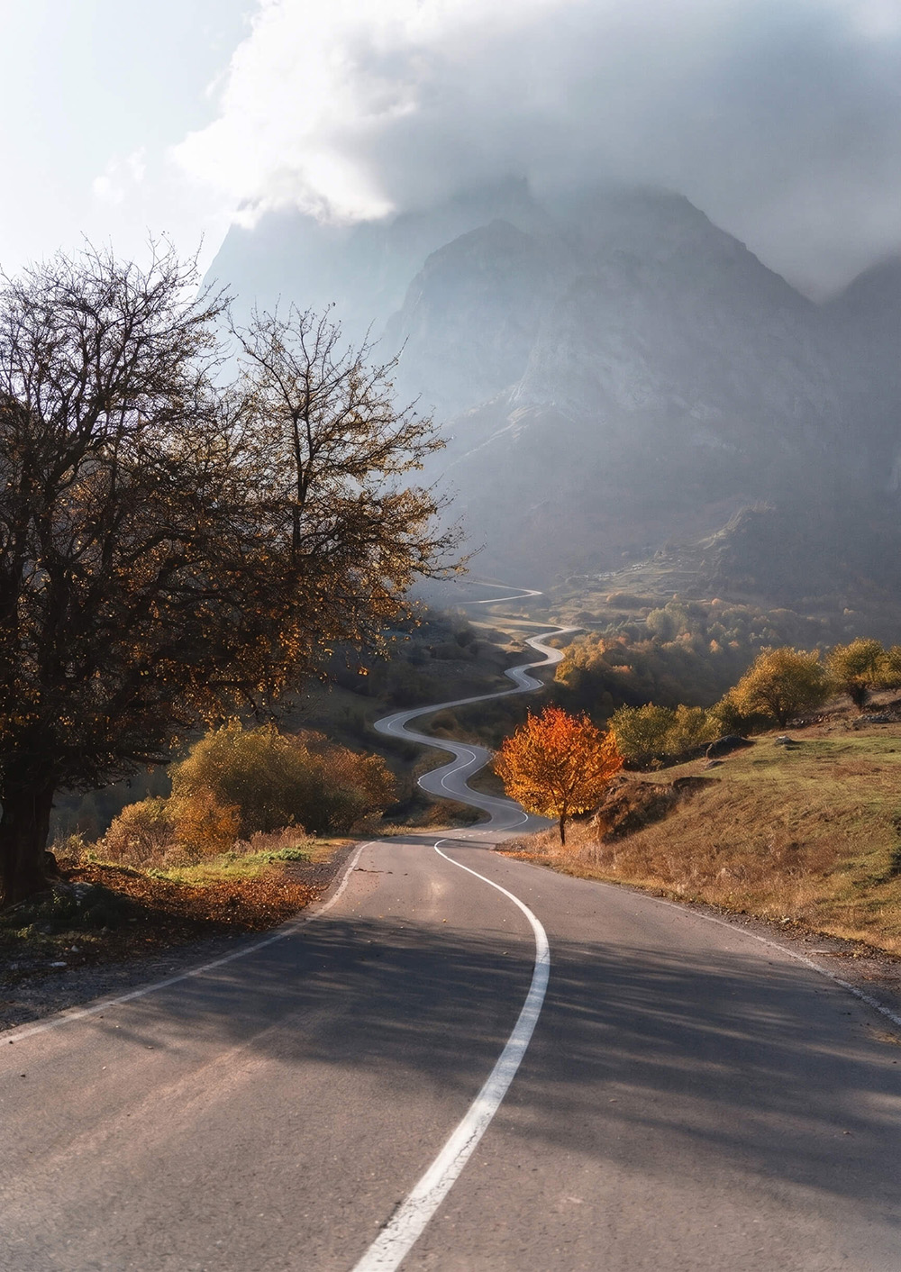 The Full Journey management