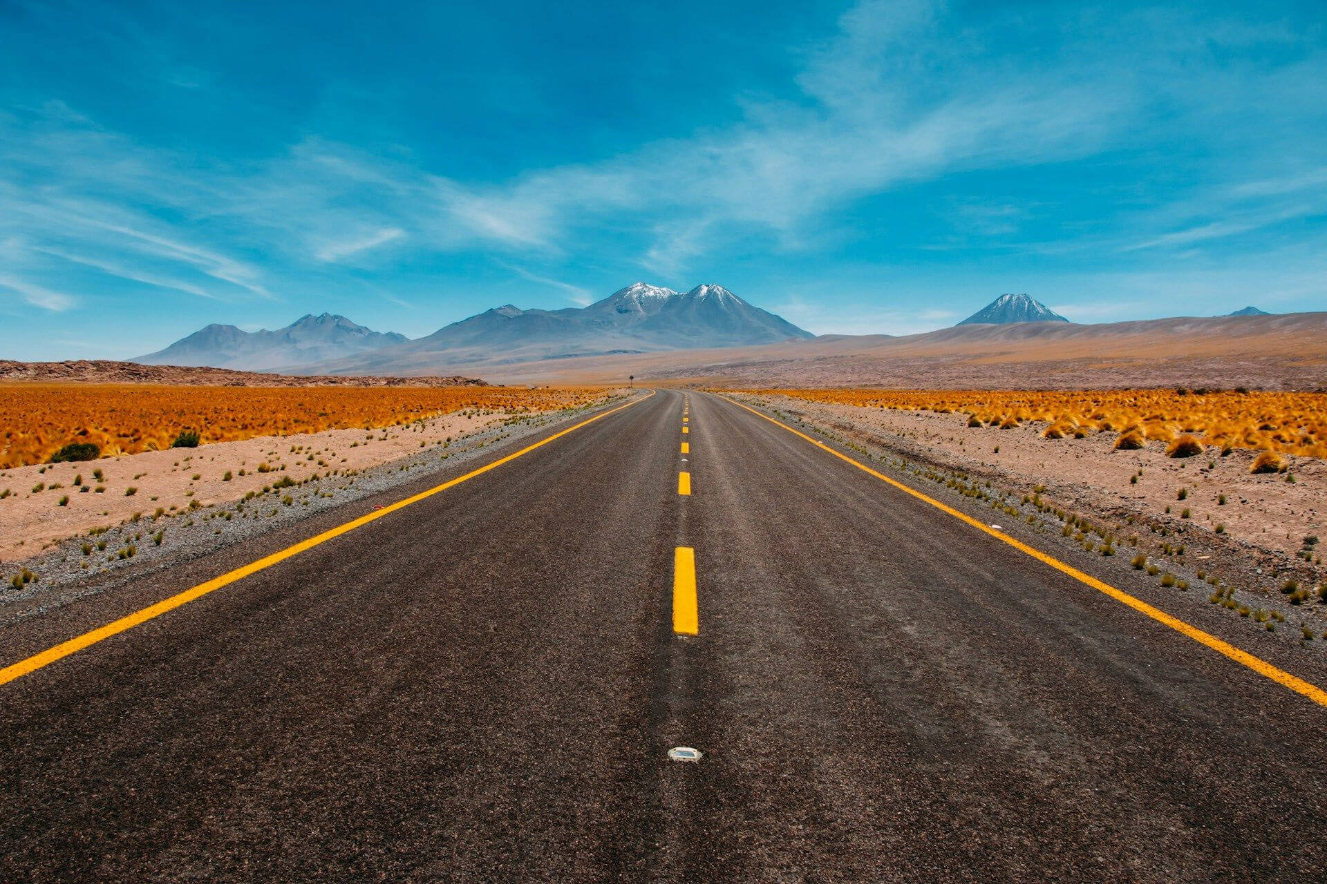 Road into horizon representing career path - OpenFUTURE US College Admissions Consulting